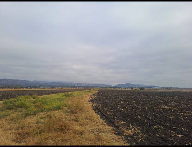 10.30HA FARM FOR SALE IN WATERKLOOF AH